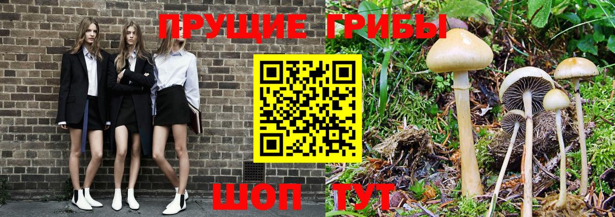Галлюциногенные грибы Cubensis  Псилоцибиновые грибы MAGIC MUSHROOMS  Янаул  Вход с VPN 